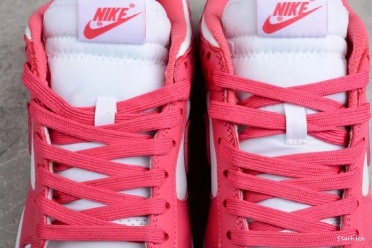 DD1503-111 Low Nike Pink” SB “Archeo Dunk 0131